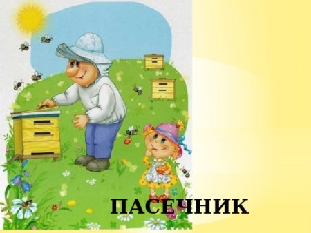 Пасека раскраска для детей