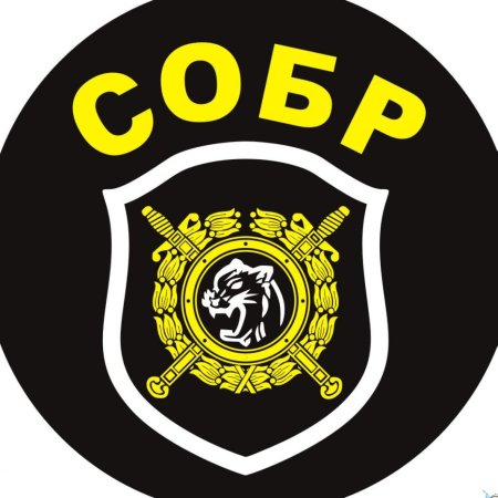 Нашивка СОБР