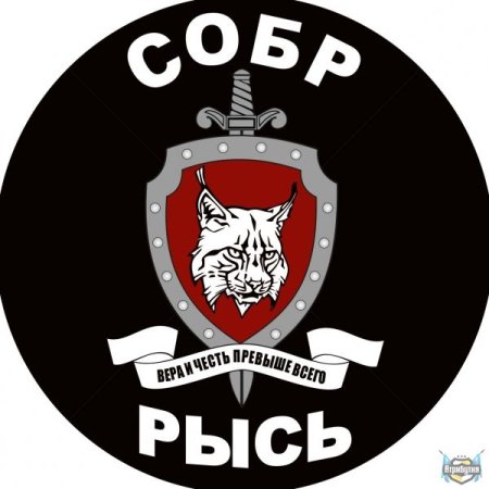 Шеврон СОБР спецназ Рысь