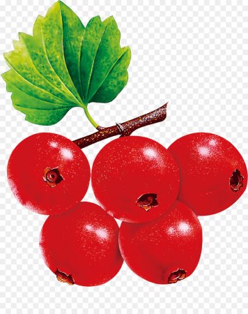 Ягоды смородины на прозрачном фоне