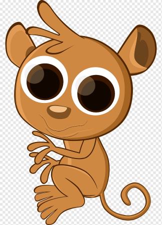 Долгопят рисунок