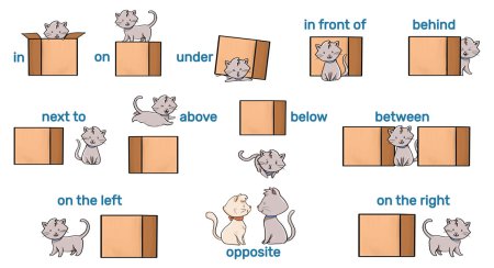 Prepositions of place предлоги места