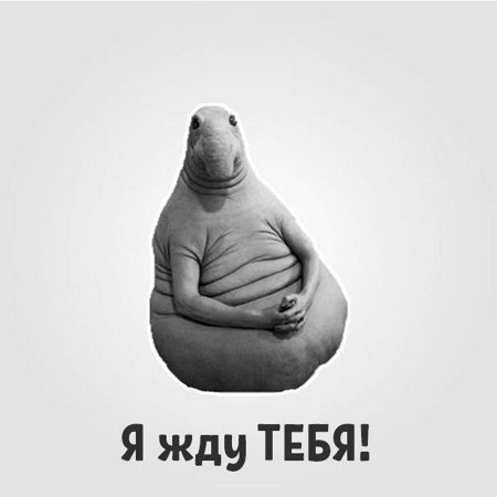 Ждун раскраска