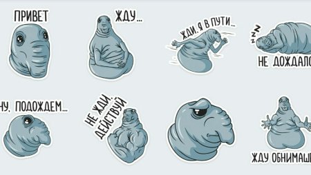 Ждуняшка стикер