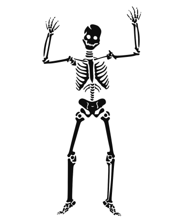 Скелет чб
