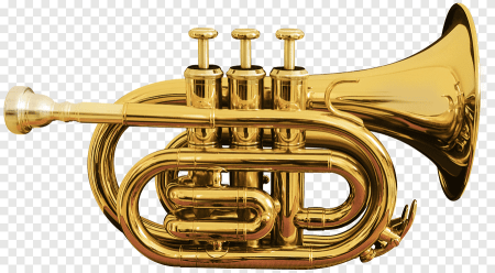 Музыкальный инструмент Cornet