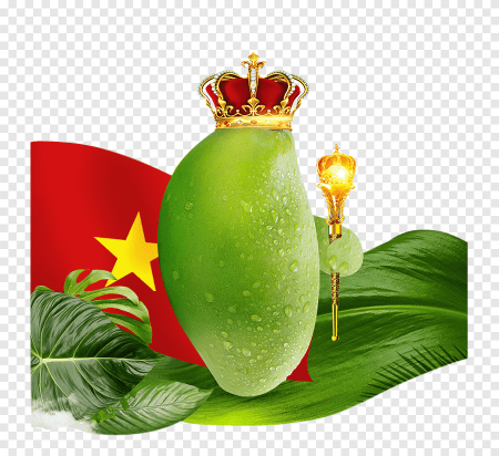 Вьетнам карта вектор