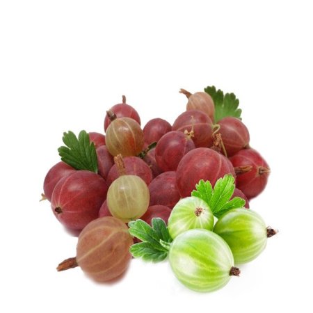 Крыжовник на белом фоне