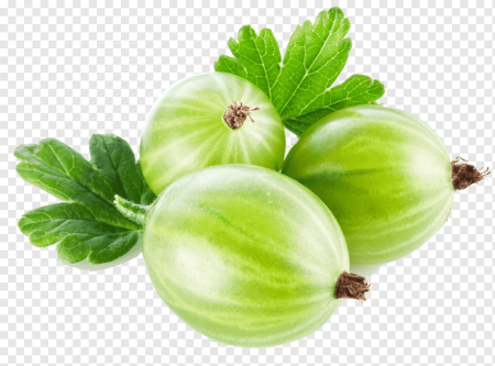Крыжовник для детей