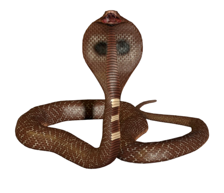 Королевская Кобра 3d