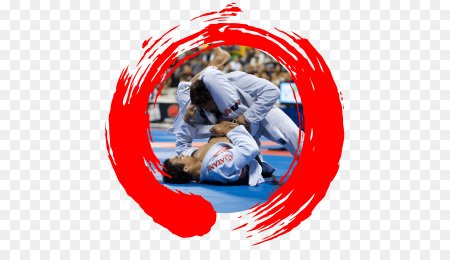 Логотип джиу джитсу Grappling