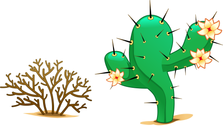 Кактус на прозрачном фоне