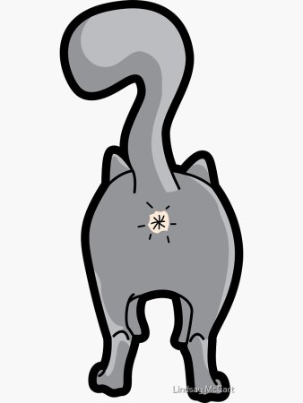 Кошачий зад