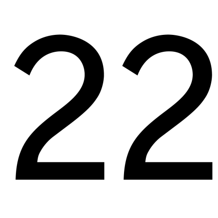 22 Число