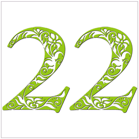 Красивое число 22