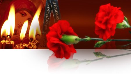 Светлая память с гвоздиками