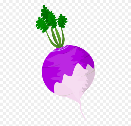 Разработка логотипа Turnip