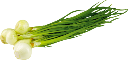 Кук пиёз