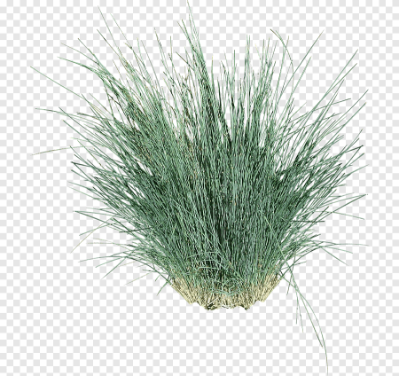 Cartoon paper grass PNG куст травы