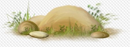 Кочка на прозрачном фоне