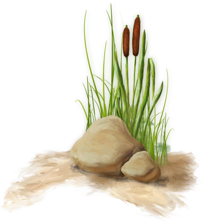 Камыши мультяшные