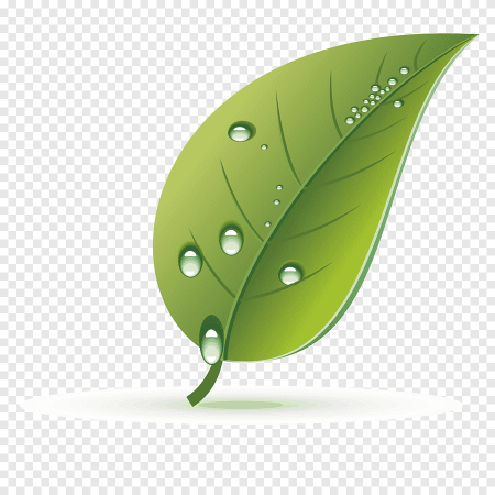 Листик с капелькой для детей