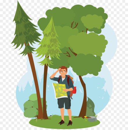 Лес туризм вектор