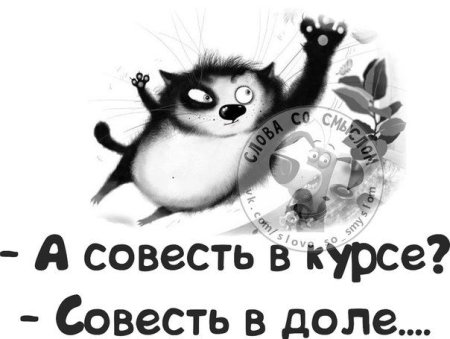 Приколы про совесть в картинках