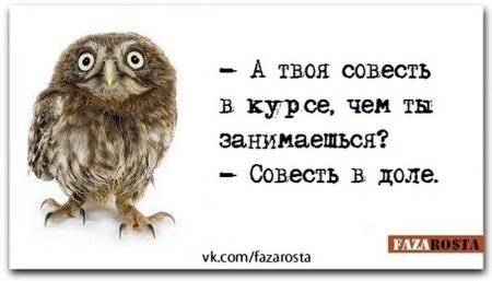 Смешные выражения про совесть