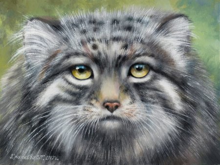 Manul кот арт