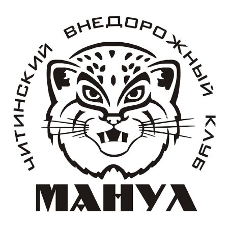 Кот Манул вектор