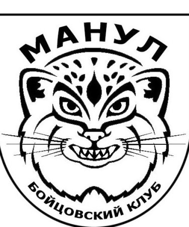 Инструкция иконка