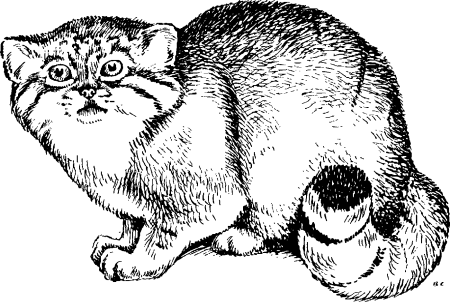 Маска кота манула