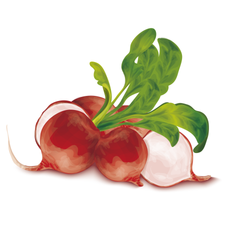Рисовать редис