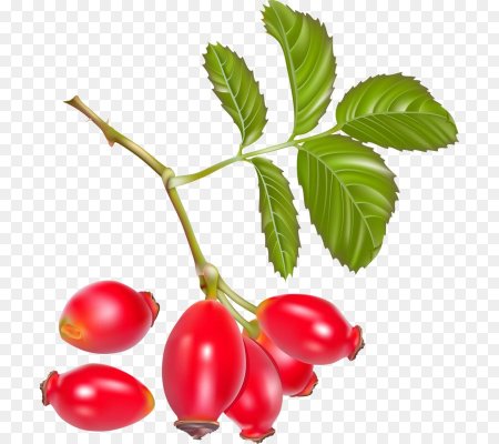 Шиповник и кизил