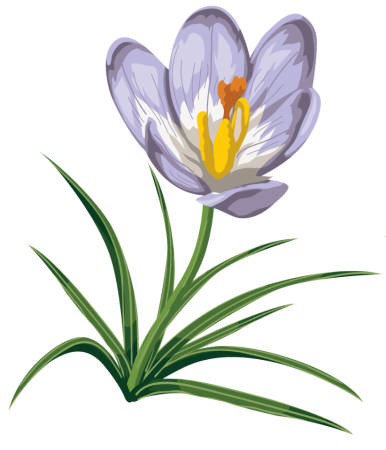 Весенние цветы мультяшные