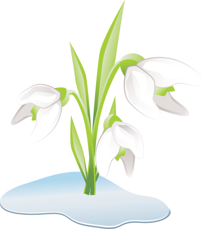 Первоцветы отрисовки