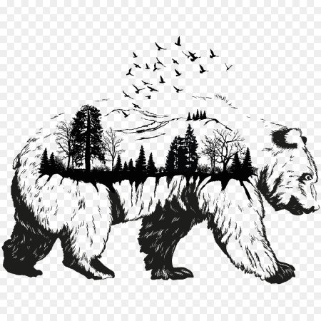 Медведь черно белая Графика