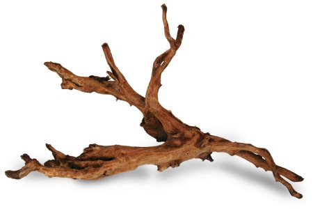 Сухая коряга