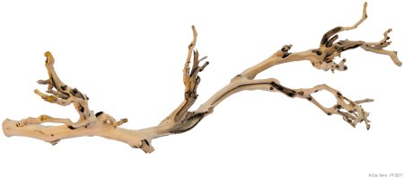 Красивая коряга