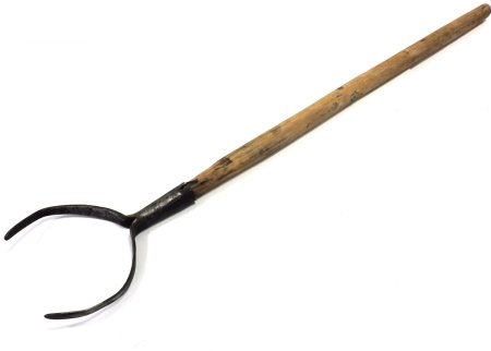 Ухват Рогач древний