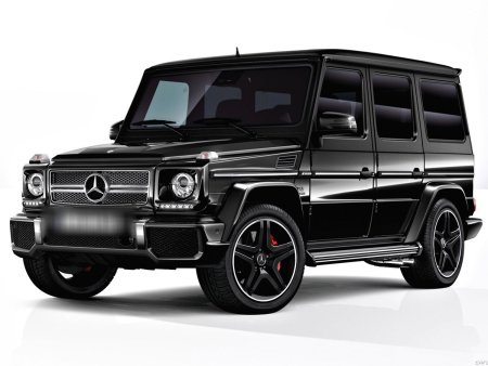 Mercedes Benz g65 w463