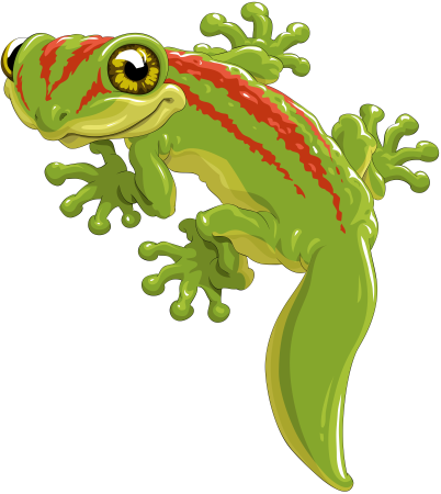 Геккон PNG