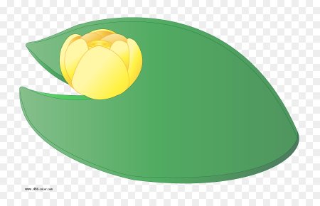 Кувшинки мультяшные