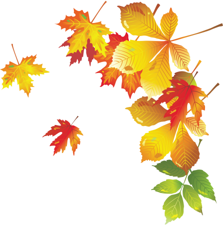 Клипарт осенние листья на прозрачном фоне