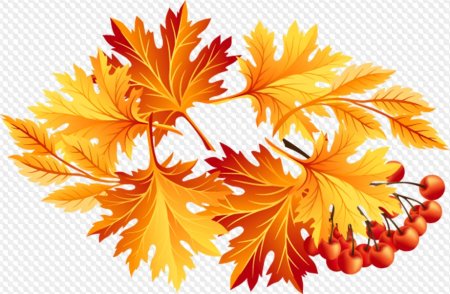 Осенняя листва клипарт (50 фото)