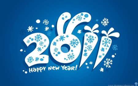 С новым 2011 годом