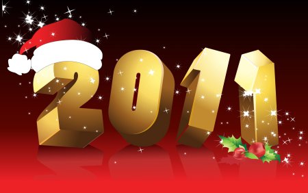 Новый год 2011