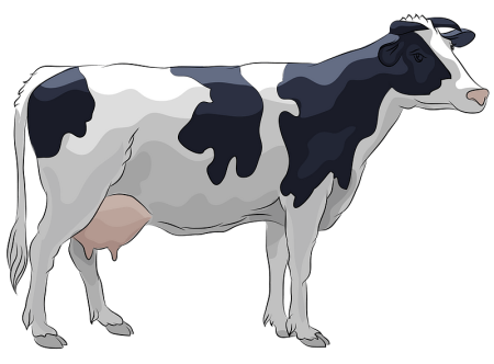 Корова вектор
