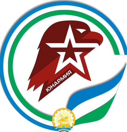 Эмблема юнармейца